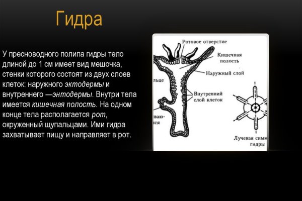 Почему кракен